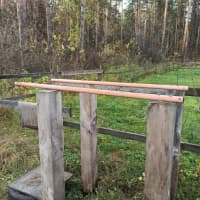 Calisthenics Park at Заепарк, городской округ Новосибирск - thumbnail 2