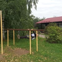 Outdoor Gym #wp2974 in Московская область - thumbnail 2
