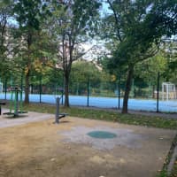 Calisthenics Park at Долгоозёрная улица, Санкт-Петербург - thumbnail 3