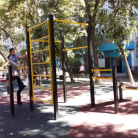 Calisthenics Park at Райымбек даңғылы, Алматы - thumbnail 2