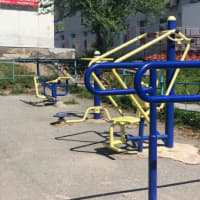 Calisthenics Park at Верхнеудинская улица, Хабаровск - thumbnail 6