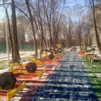 Calisthenics Park at Голубинская улица, Москва - thumbnail 8