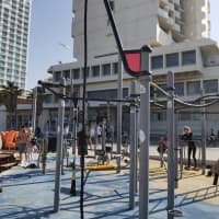 Calisthenics Park at הטיילת ע"ש שלמה להט, תל־אביב–יפו - thumbnail 2