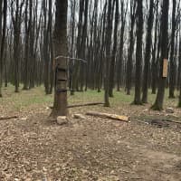 Locație mică in pădure Voluntari