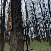 Calisthenics Park at Strada Matei Millo, Voluntari - thumbnail 2