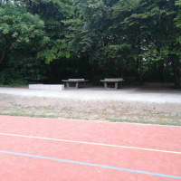 Calisthenics Park at Bezirkssportanlage Demleitnerstraße 2, München - thumbnail 6