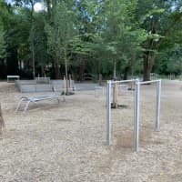 Calisthenics Park at Sarphatipark, Amsterdam - thumbnail 3