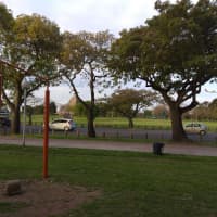 Calisthenics Park at Avenida Presidente Figueroa Alcorta, Buenos Aires - thumbnail 3