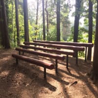 Calisthenics Park at Vallamaja tee, Kastre vald - thumbnail 2