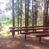 Calisthenics Park at Vallamaja tee, Kastre vald - thumbnail 3