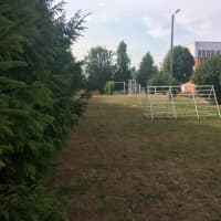 Calisthenics Park at Ülenurme Gümnaasiumi staadion, Ülenurme alevik - thumbnail 5