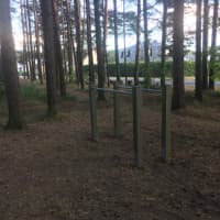 Calisthenics Park at Eduard Wiiralti, Tartu linn - thumbnail 3