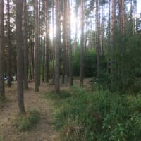 Calisthenics Park at Eduard Wiiralti, Tartu linn - thumbnail 4