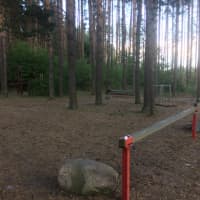 Calisthenics Park at Eduard Wiiralti, Tartu linn - thumbnail 5