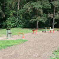 Calisthenics Park at Sanatooriumi parkmetsa spordiväljak, Tartu linn - thumbnail 2