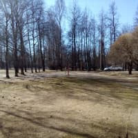 Calisthenics Park at Юбилейная улица, городской округ Псков - thumbnail 2