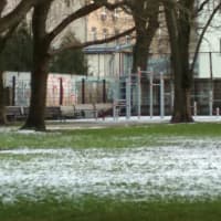 Calisthenics Park at Sparģeļu iela, Rīga - thumbnail 2