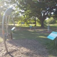 Calisthenics Park at 4FCIRCLE, Frankfurt am Main - thumbnail 6