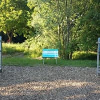 Calisthenics Park at 4FCIRCLE, Frankfurt am Main - thumbnail 3
