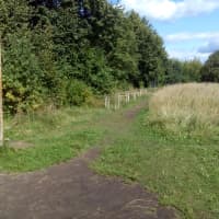 Calisthenics Park at Электрон, городской округ Псков - thumbnail 3