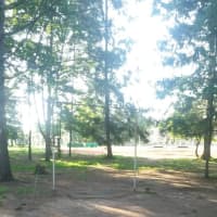 Calisthenics Park at Тулонская аллея, Кронштадт - thumbnail 3