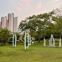 Outdoor Gym in 능곡동, 시흥시 - thumbnail 2