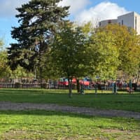 Calisthenics Park at Intrare Pasaj, Brașov - thumbnail 2