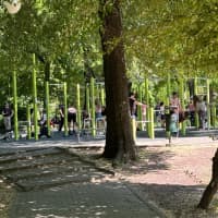 Calisthenics Park at Aleea Magnoliei, București - thumbnail 2