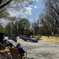 Herastrau Skate Park