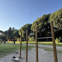 Calisthenics Park at Via di Valle delle Camene, Roma - thumbnail 4