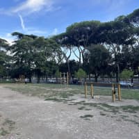 Calisthenics park — Gym