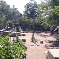 Calisthenics Park at Viale Mario Leigheb, Roma - thumbnail 2