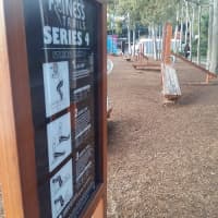 Calisthenics Park at Courtyard of Welcoming Fragrance, Sydney - thumbnail 3