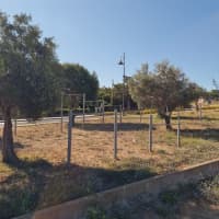 Parco Calisthenics — Park