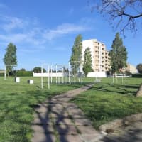 Attrezzature Calisthenics — Gym