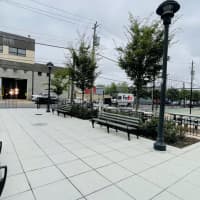 Calisthenics Park at 43rd Street, New York - thumbnail 4