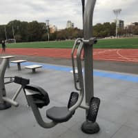 Calisthenics Park at Bayard Street, New York - thumbnail 7