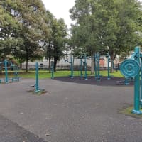 Calisthenics Park at Royal Canal Bank, Dublin - thumbnail 3