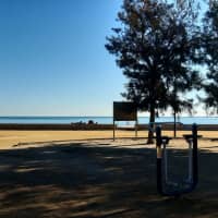 Espectacular parque de calistenia. Nuevito. Junto a este otras maquinas de ejercicio con peso corporal