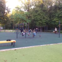 Calisthenics Park at Народный проспект, Москва - thumbnail 5