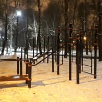 Calisthenics Park at Берёзовая аллея, Москва - thumbnail 6