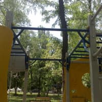Calisthenics Park at Гагарин даңғылы, Алматы - thumbnail 3