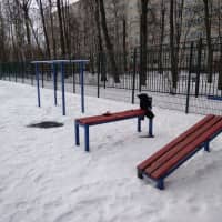 Calisthenics Park at проспект Науки, Санкт-Петербург - thumbnail 3