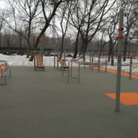 Calisthenics Park at улица Лазо, Москва - thumbnail 2