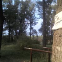 Calisthenics Park at М-03-01, Полтава - thumbnail 2