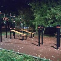 Calisthenics Park at Ленинградское шоссе, Москва - thumbnail 2