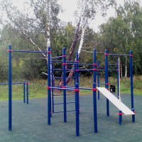 Calisthenics Park at аллея Дорога Жизни, Москва #wp1897 - thumbnail 7
