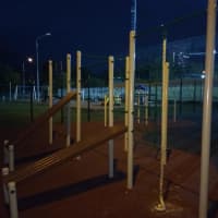 Calisthenics Park at Озёрная аллея, Зеленоград - thumbnail 2