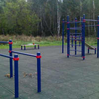 Calisthenics Park at аллея Дорога Жизни, Москва #wp1897 - thumbnail 2