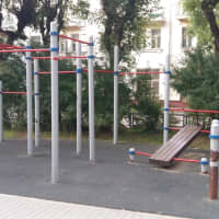 Calisthenics Park at Институтская улица, Фрязино - thumbnail 2